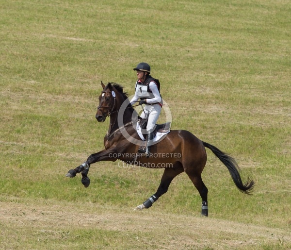 Equine Athlete, Eventing Lower Level