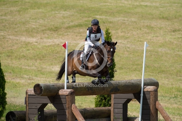 Equine Athlete, Eventing Lower Level