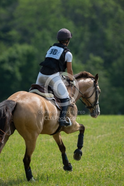 Equine Athlete, Eventing Lower Level