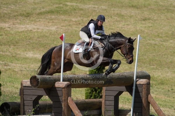 Equine Athlete, Eventing Lower Level