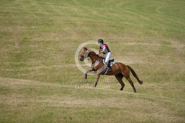Equine Athlete, Eventing Lower Level