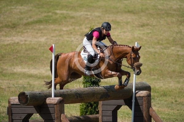 Equine Athlete, Eventing Lower Level
