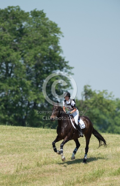 Equine Athlete, Eventing Lower Level
