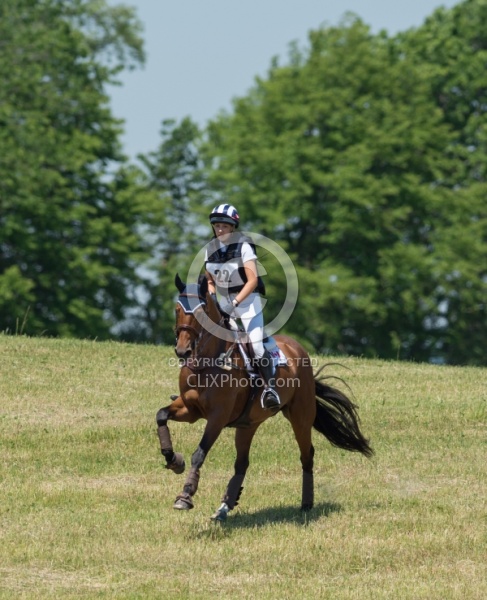 Equine Athlete, Eventing Lower Level