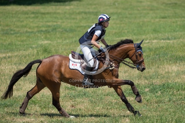 Equine Athlete, Eventing Lower Level