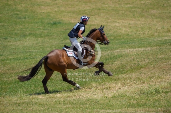 Equine Athlete, Eventing Lower Level