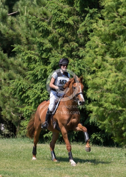 Equine Athlete, Eventing Lower Level