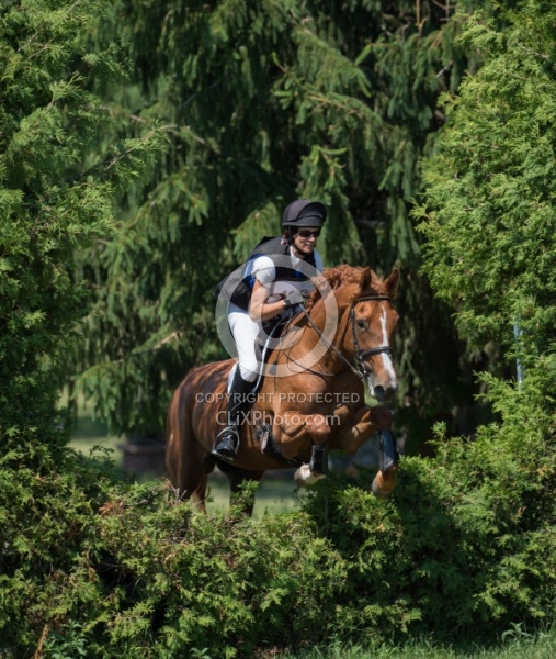 Equine Athlete, Eventing Lower Level