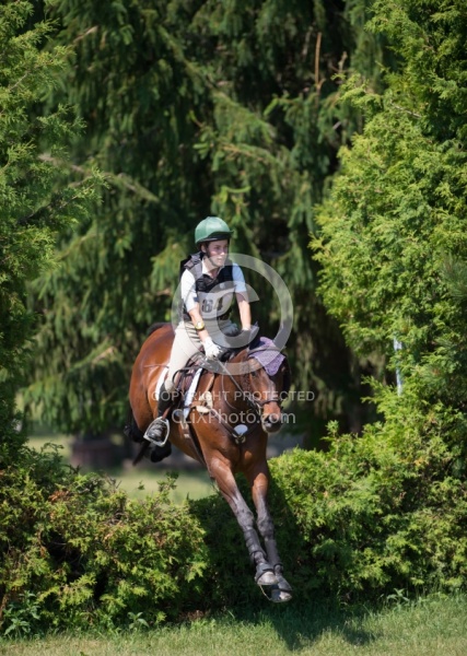 Equine Athlete, Eventing Lower Level