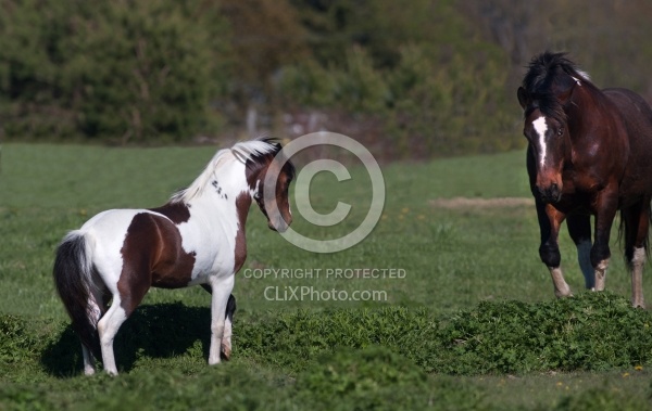 Communicative Gestures