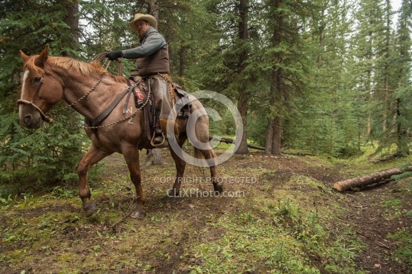Hauling Firewood to Camp