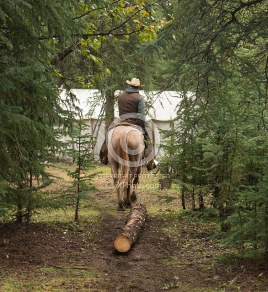 Hauling Firewood to Camp