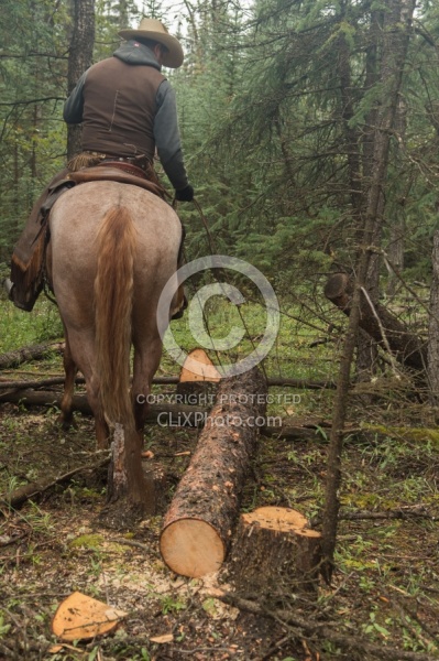 Hauling Firewood to Camp