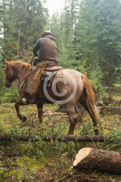 Hauling Firewood to Camp