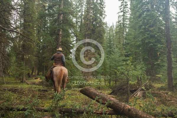Hauling Firewood to Camp