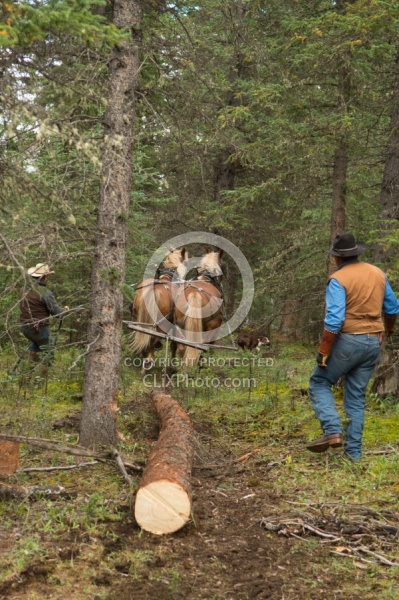 Hauling Firewood to Camp