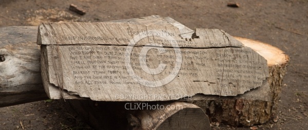 The Words to Buckaroo Man