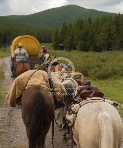The String of Horses