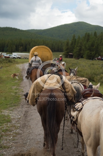 The String of Horses