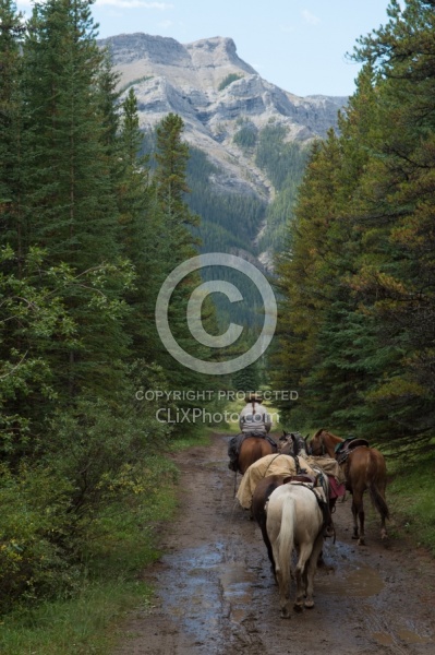 The String of Horses