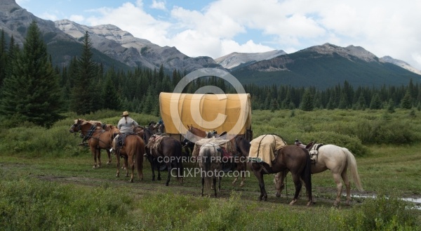 The String of Horses