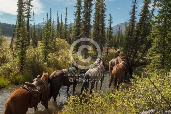 The String of Horses