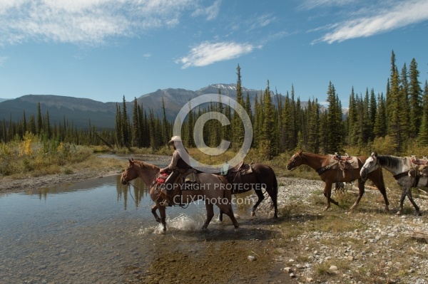 The String of Horses