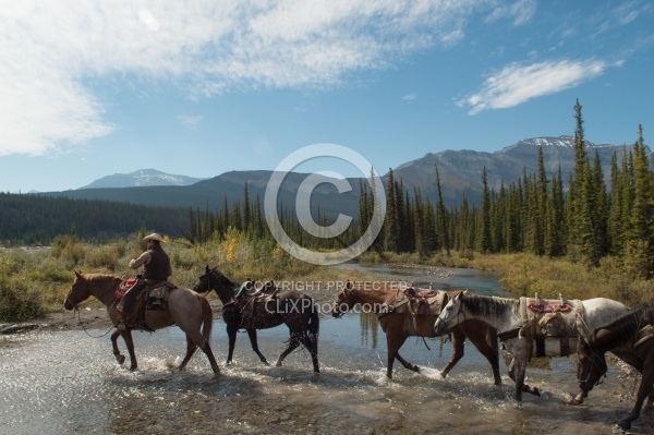 The String of Horses