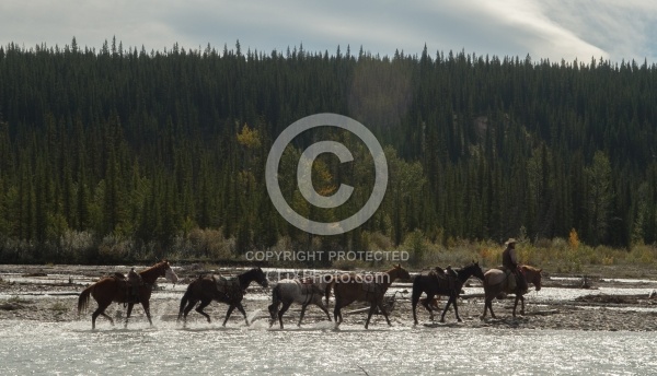 The String of Horses