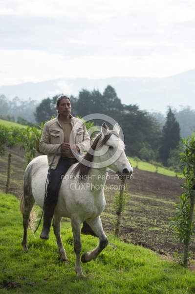 Rodrigo Bringing in the Herd