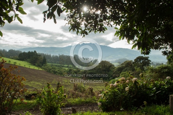The View from Hacienda La Alegria