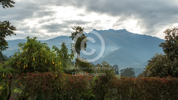 The View from Hacienda La Alegria