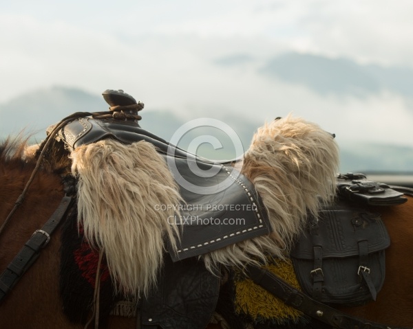 Ecuadorian Saddle at The Local Rodeo