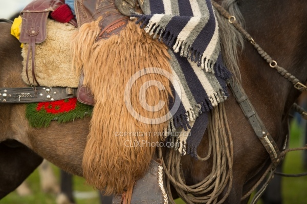 Ecuadorian Chaps at The Local Rodeo