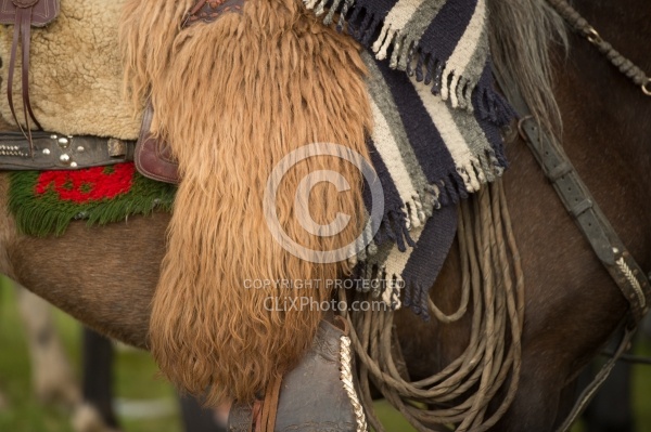 Ecuadorian Chaps at The Local Rodeo