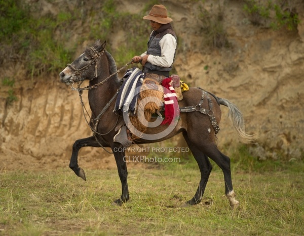 A Chagra at The Local Rodeo
