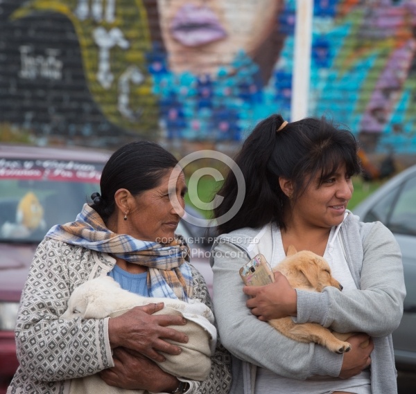Puppies at the Local Market in Aloag