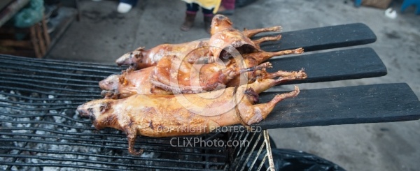 Guinea Pig on a Stick at the Local Market in Aloag, Ecuador