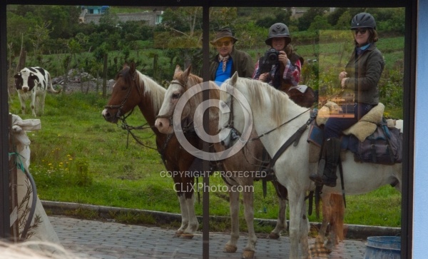 Reflections in a House Window on the Way to Bomboli