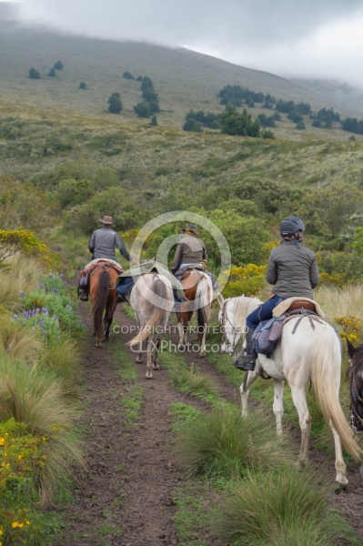 In the Paramo  on the Way to Bomboli