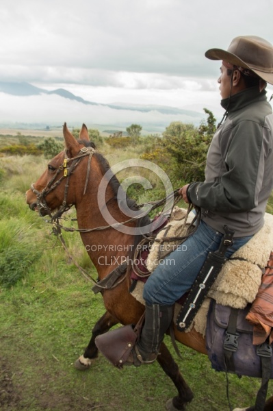In the Paramo  on the Way to Bomboli