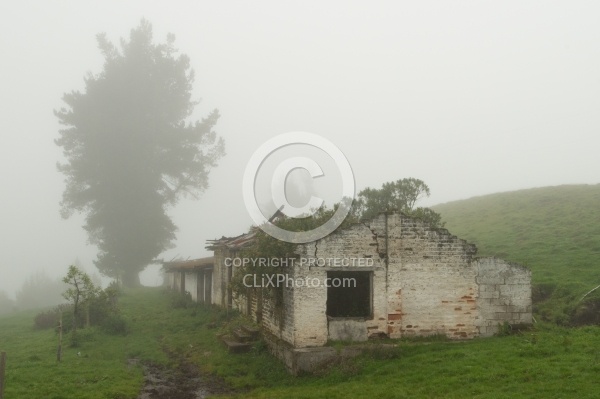 On the Way to the Cloud Forest