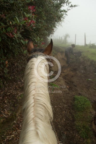 Watching Rodrigo Fix the Trail in the Cloud Forest in Bomboli, E