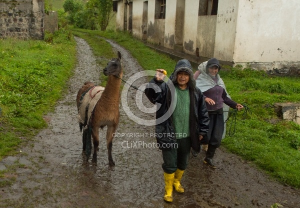 Ecuadorian Farmer on Trail on the Return From Bomboli