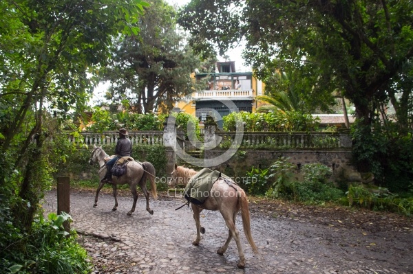 Returning to the Hacienda La Alegria from Bomboli, Ecuador