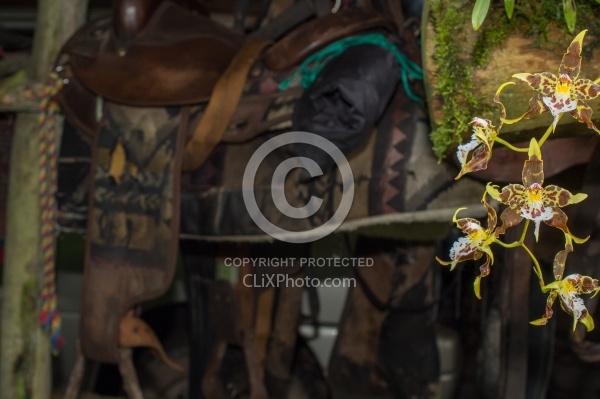 Garden Tour at Bomboli, Ecuador