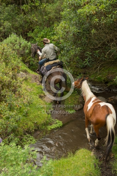 River Crossing on Ride into High Andes, Ecuador