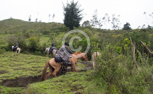 Heather Climbing Uphill on High Andes Ride