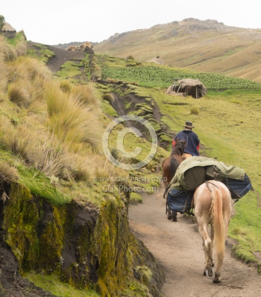 Riding in the high Andes