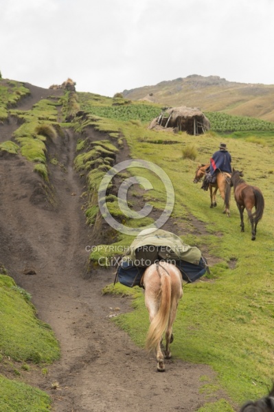Riding in the high Andes